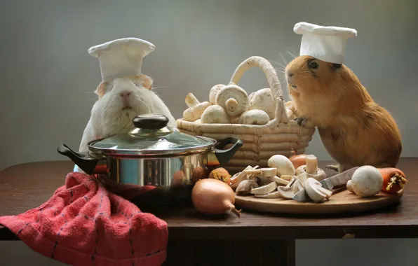 Picture basket, mushrooms, bow, pan, caps, mushrooms, rodents, cooks, Guinea pigs