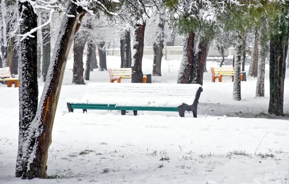 Picture trees, bench, Park, winter, snow, winter landscape