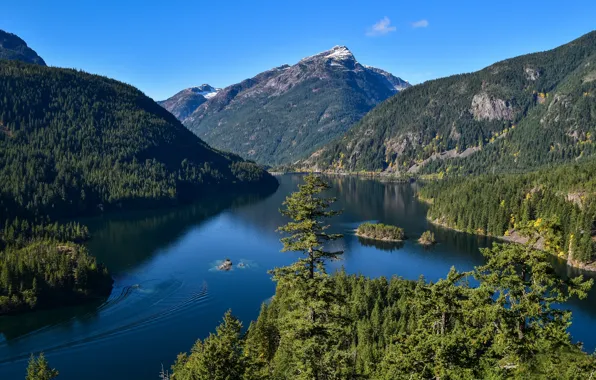 Picture forest, mountains, lake, Washington, Islands, Washington State, North Cascades National Park, Diablo Lake, North Cascade …