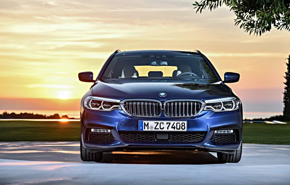 Picture the sky, clouds, sunset, lawn, BMW, Parking, front view, universal, xDrive, Touring, 530d, 5, dark …