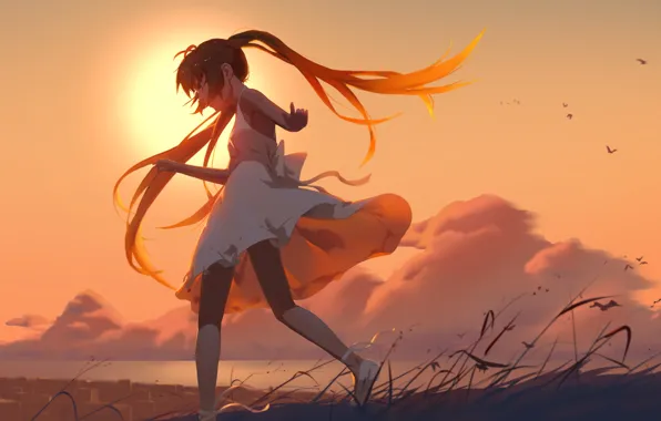 Picture the sky, girl, clouds, sunset, birds, anime, art, vocaloid, hatsuny miku