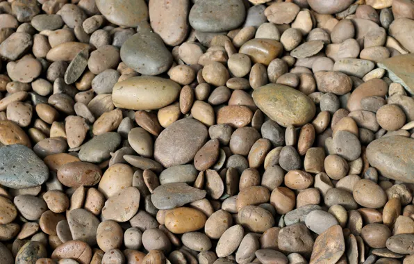 Picture beach, pebbles, stones, background, white, white, beach, texture, marine, sea, pebbles