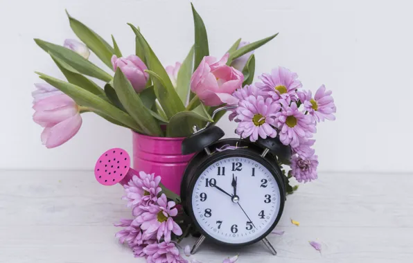 Picture Tulips, Alarm clock, Chrysanthemum, Lake