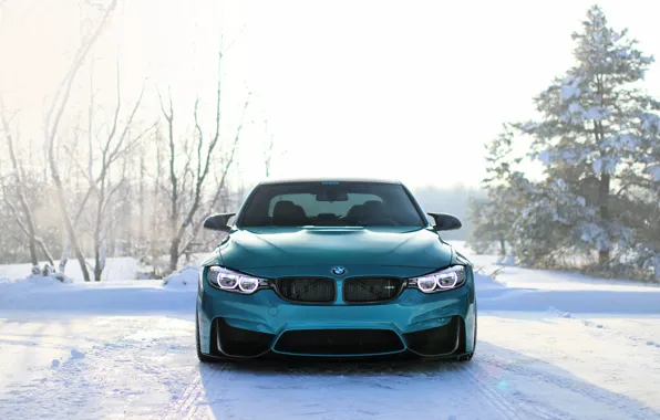 Picture BMW, Blue, Winter, Snow, Face, F80