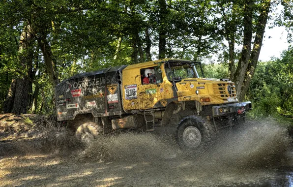 Picture forest, water, vegetation, Mercedes-Benz, dirt, truck, the roads, rally, Zetros