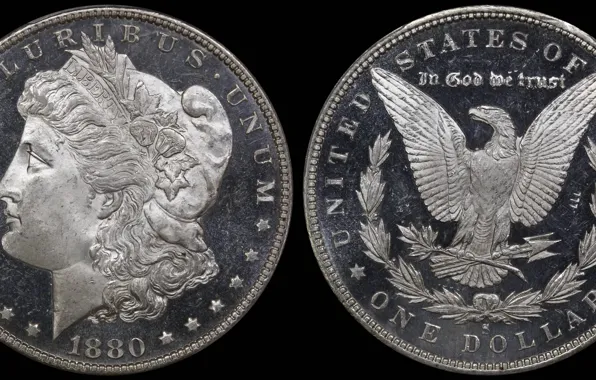 Picture dollar, USA, coin, 1880