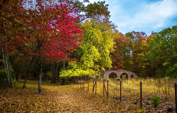Picture Autumn, Trees, Trail, Park, Fall, Bridge, Park, Autumn, Colors, The bridge, Trees, Path