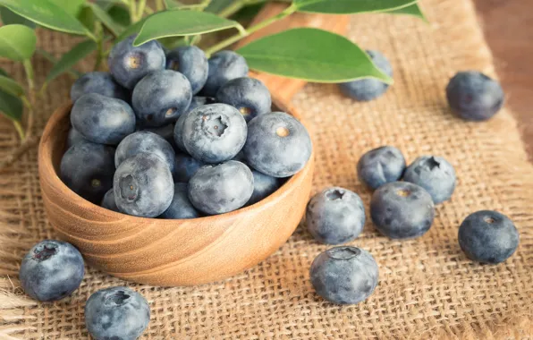 Picture berries, blueberries, fresh, blueberry, blueberries, berries