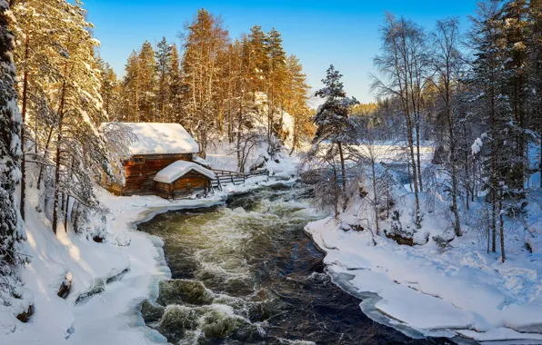Picture winter, forest, Finland, In Kuusamo, The friction of the river