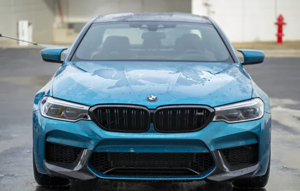 Picture BMW, Blue, Front, Face, F90