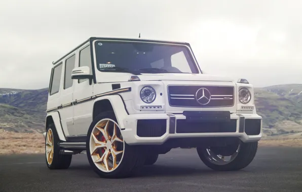 Picture Mercedes, AMG, White, G63, W463, Sight