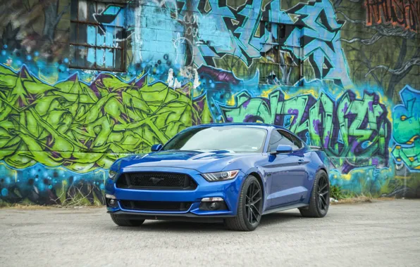 Picture blue, background, graffiti, Ford Mustang, the front