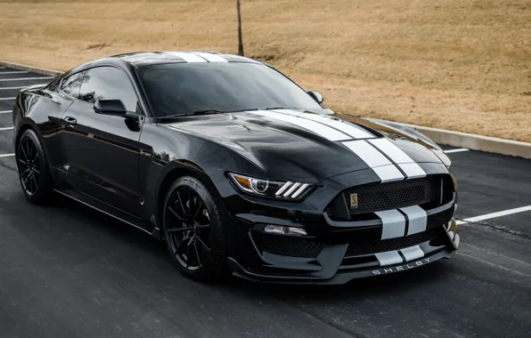Picture shelby, black, 350