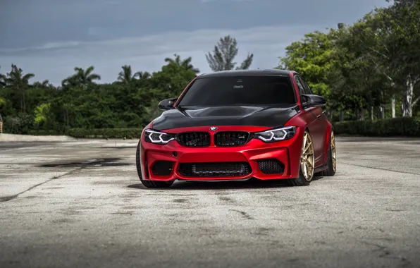 Picture BMW, Carbon, RED, F80, Sight, LED, Evel