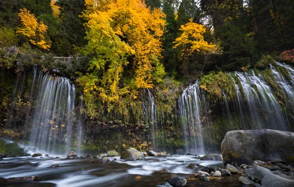 Picture autumn, forest, trees, river, stones, waterfall, CA, cascade, California, Sacramento River, Mossbrae Falls, Dunsmuir, Sacramento …