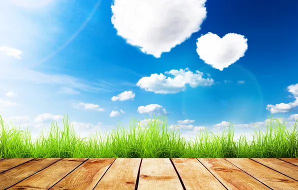 Picture greens, summer, the sky, grass, the sun, clouds, Board, hearts, Valentine's day