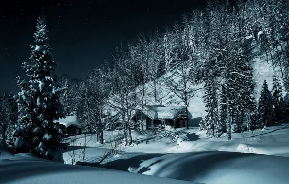 Picture winter, forest, snow, trees, village, the snow, houses, Russia, Siberia, Kuznetsk Alatau
