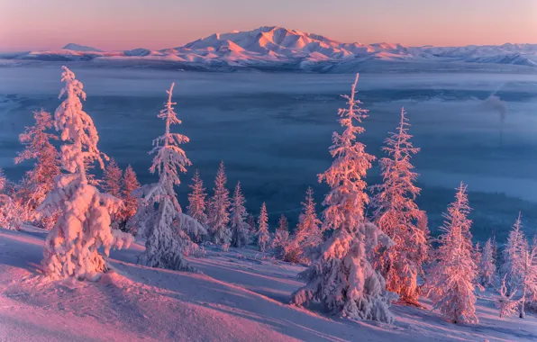 Picture winter, trees, landscape, sunset, mountains, nature, the evening, ate, slope, snow, Vladimir Ryabkov, Kolyma