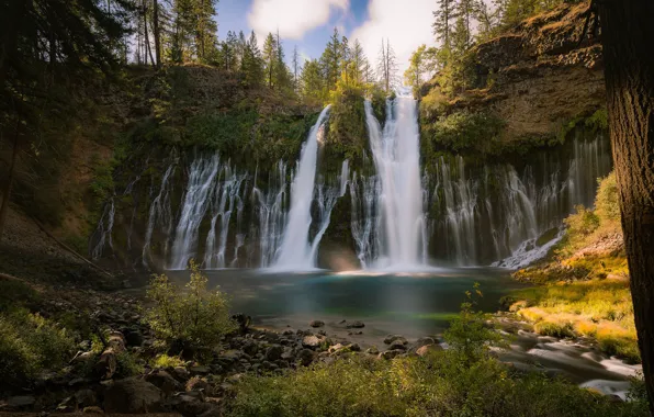 Picture trees, river, waterfall, CA, cascade, California, Burney Falls, Burney Creek