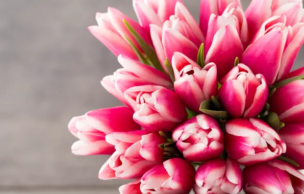 Picture flowers, bouquet, tulips, pink, fresh, pink, flowers, beautiful, tulips, spring
