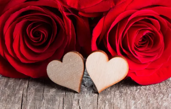 Picture love, flowers, heart, roses, petals, pair, red, love, heart, flowers, romantic, Valentine's Day, petals, roses