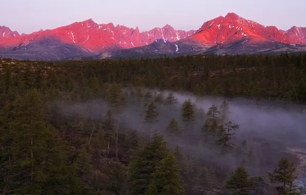 Picture forest, light, sunset, mountains, fog, the evening, haze, Magadan oblast, mountains cherskogo, Peak Challenger