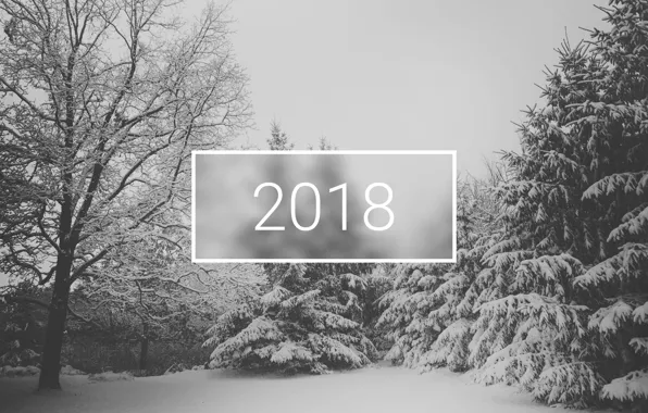 Picture wallpaper, white, christmas, new year, trees, winter, snow, minimalistic, 2018