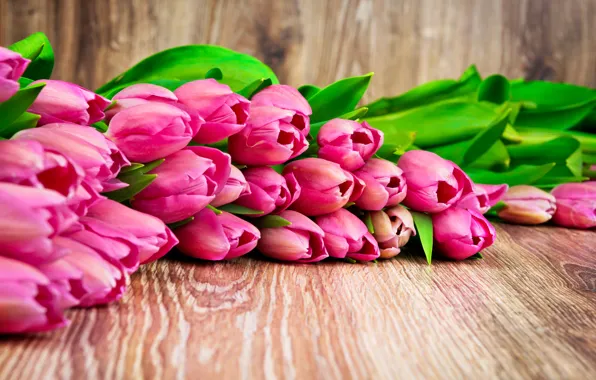 Picture bouquet, tulips, love, fresh, pink, flowers, romantic, tulips, gift, pink tulips