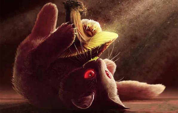 Picture cat, mushroom, cat, music, kitty, Spitfire, Single, Infected Mushroom, Cover art, Psychedelic trance