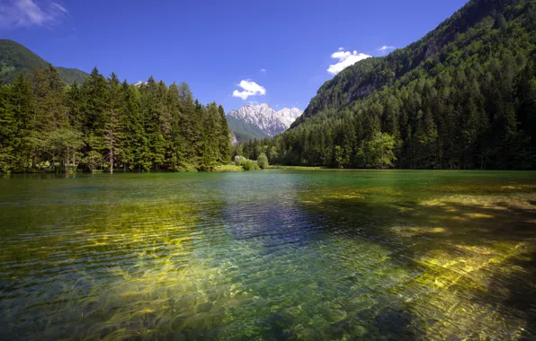 Picture forest, mountains, lake, the ripples on the water, Slovenia, Slovenia, Planšarsko lake, Plinarsko lake