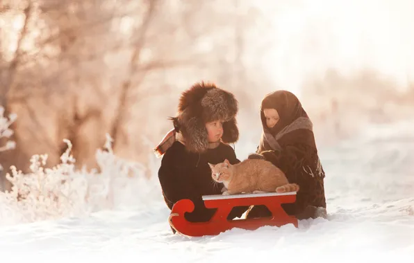 Picture winter, cat, snow, children, boy, girl, sled