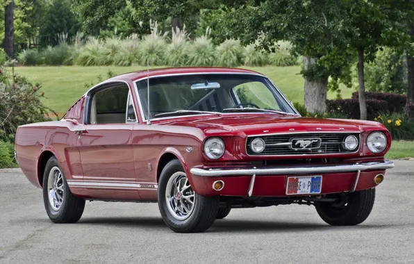 Picture Red, Ford Mustang, Fastback, 1966, Muscle car