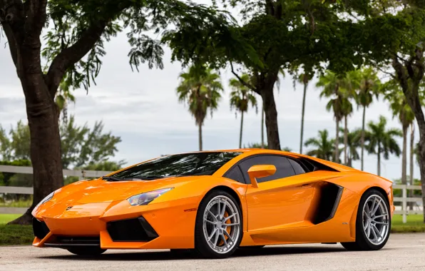 Picture Lamborghini, Aventador, Wheels, ANRKY