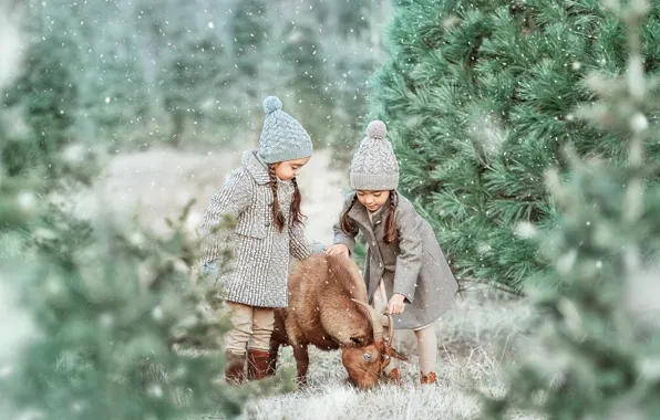 Picture forest, snow, trees, mood, goat, sisters, two girls