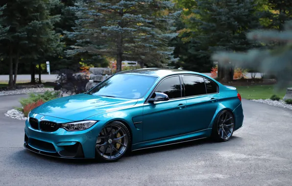 Picture BMW, Blue, Trees, F80, Sight