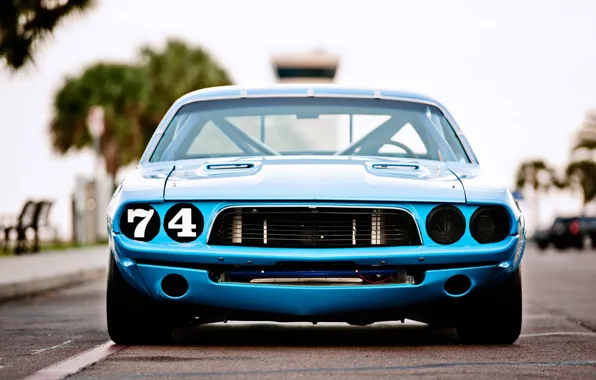 Picture Dodge Challenger, race, 1973, blue car
