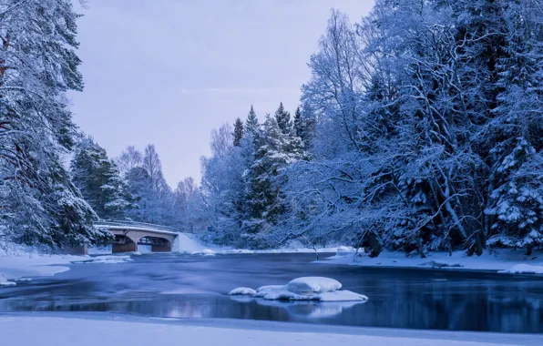 Picture winter, water, snow, trees, landscape, nature, pond, Park, the bridge