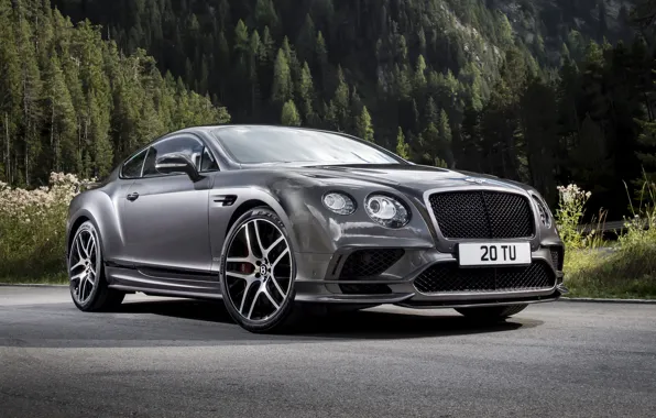 Picture Bentley, Continental, 2017, Supersports