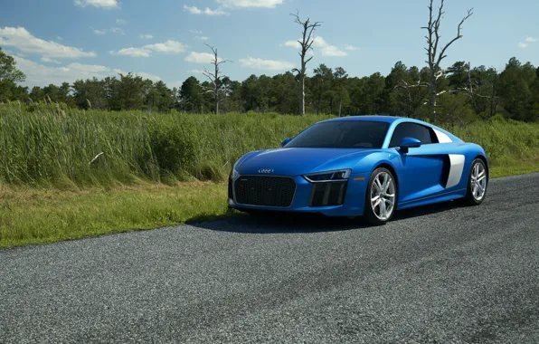 Picture Audi, Blue, V10