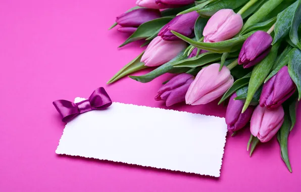 Picture bouquet, gifts, tulips, love, pink, bow, fresh, pink, flowers, romantic, tulips, gift, purple