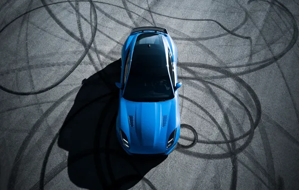 Picture Jaguar, Blue, F-Type