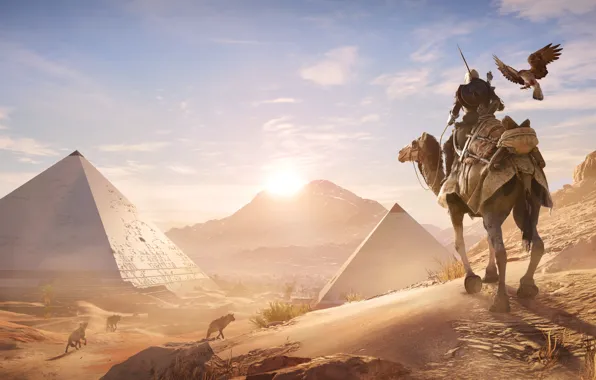 Picture sand, bird, desert, camel, pyramid, Egypt, Assassin's Creed Origins
