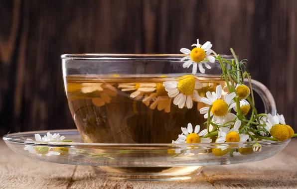 Picture tea, Daisy, flowers