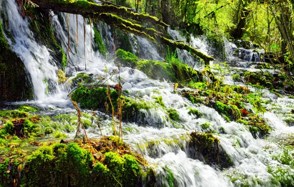 Picture greens, summer, the sun, squirt, branches, waterfall, moss, China, national Park, reserve, Jiuzhaigou