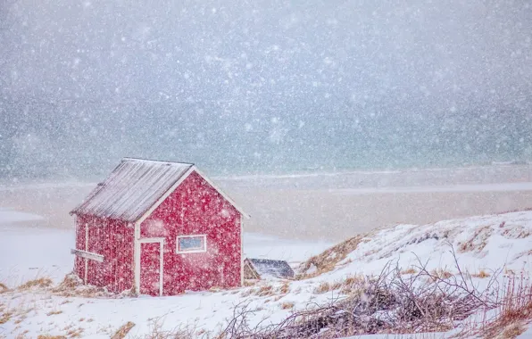 Picture winter, sea, snow, coast, Norway, house, Norway, Nordland, The Lofoten Islands, The Norwegian sea, Lofoten, …