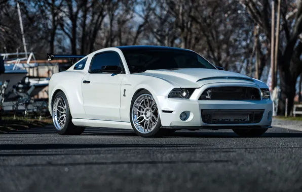 Picture GT500, Wheels, FORD, Niche, VELLA, SHELBY