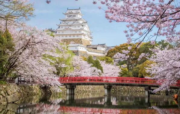Picture bridge, castle, Japan, Sakura, Himeji