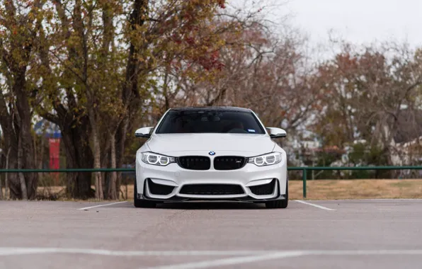 Picture BMW, Front, White, Autumn, Sight, F83