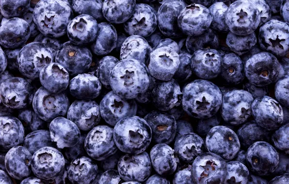 Picture berries, a lot, Blueberries