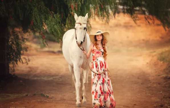 Picture mood, horse, horse, hat, dress, girl, Edie Layland